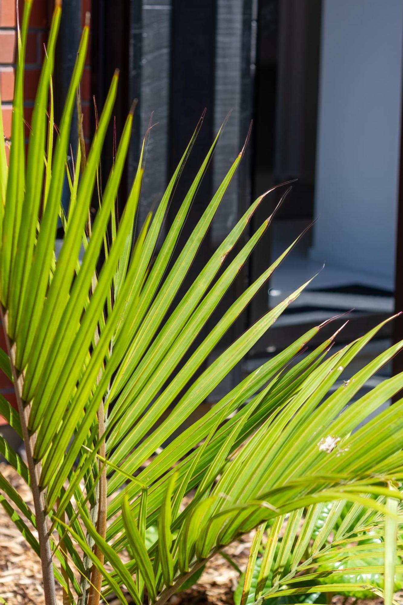 Conveniently Located 2Br Townhouse In West Akl Apartment Auckland Exterior photo
